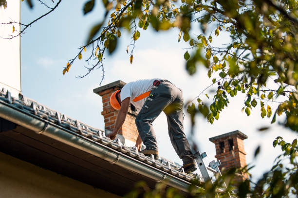 Best Storm Damage Roof Repair  in Wilsons Mills, NC