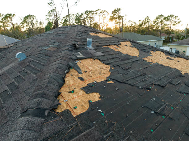 Best Roof Leak Repair  in Wilsons Mills, NC